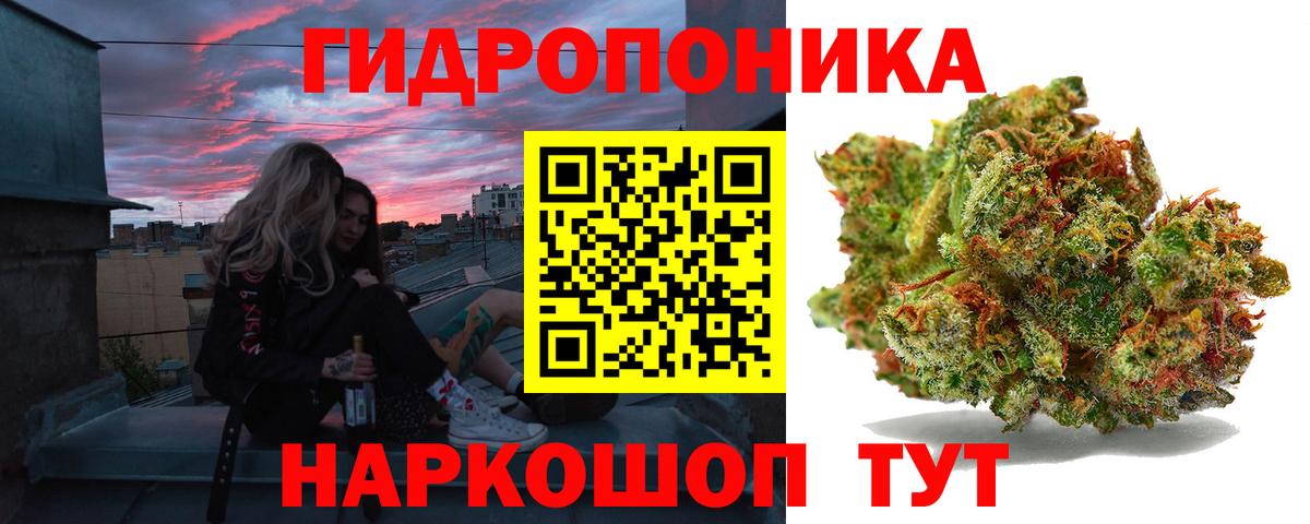 Бошки марихуана планчик  Вход с VPN  Конопля план  Ступино  Канабис Bruce Banner 