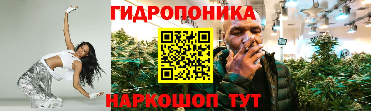 Бошки марихуана OG Kush Ступино
